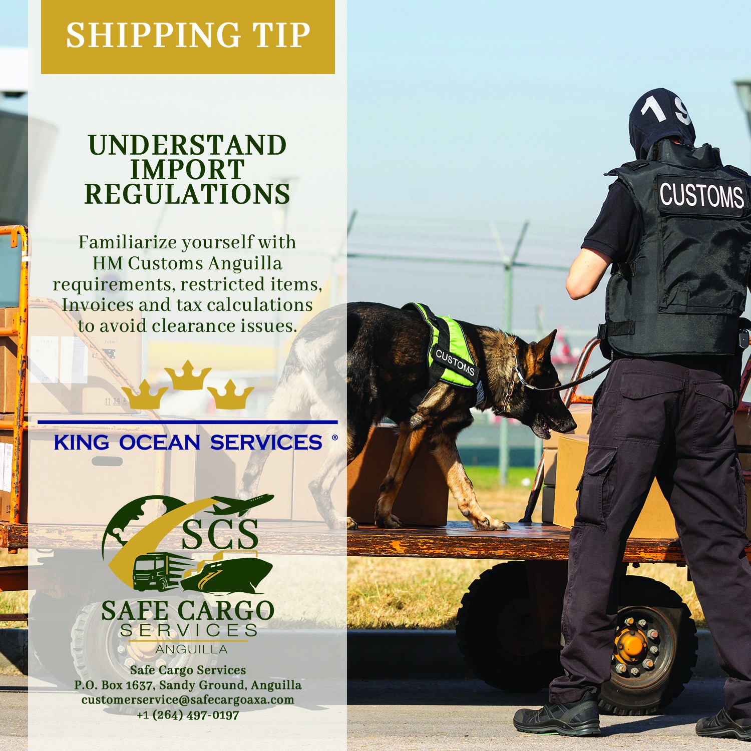 Understand import regulations — shipping tip