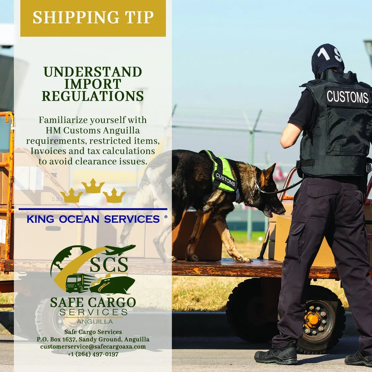 Understand import regulations — shipping tip